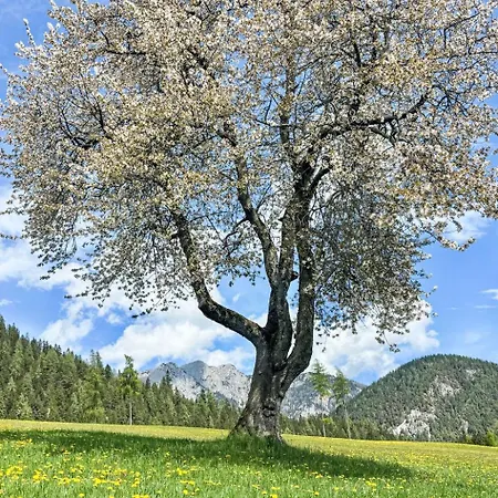 Salzmannhof By Interhome Διαμέρισμα *