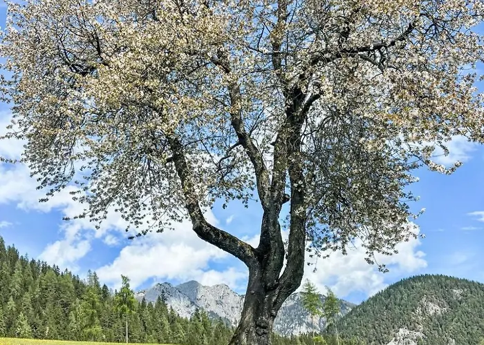 5 By Interhome 公寓 *